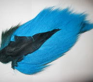 bucktail large fl blue